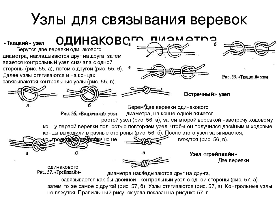 Определить количество узлов в сети: найдено 81 изображений